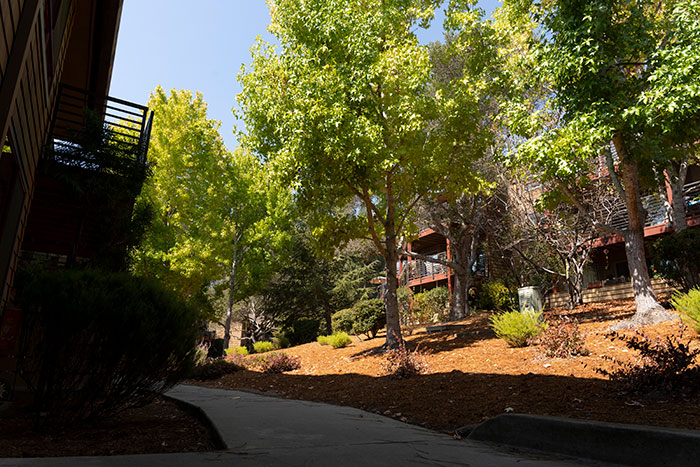 walkway